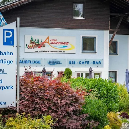 Apartment Ski-bike-apartment Bayerwald *