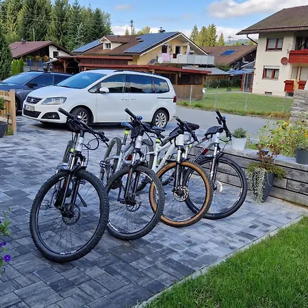 Ski-bike-apartment Bayerwald Apartment Lohberg