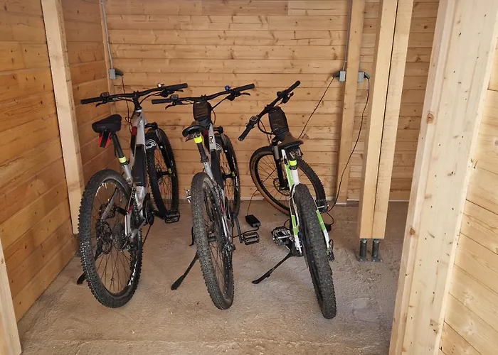 Ski-bike-apartment Bayerwald * Lohberg