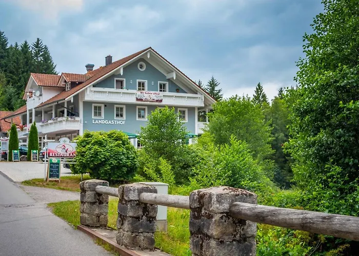 Ski-bike-apartment Bayerwald *
